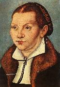 Lucas  Cranach Portrait of Katharina von Boyra oil
